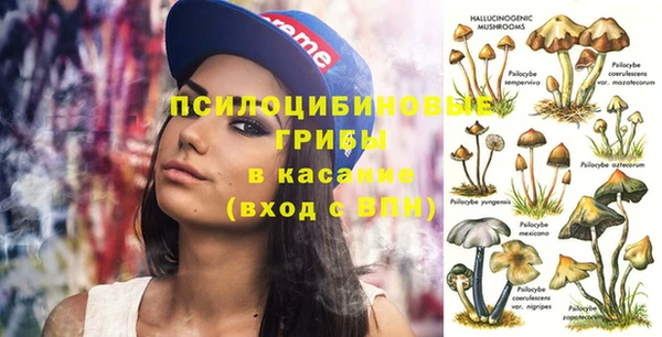 прущие крисы Новодвинск