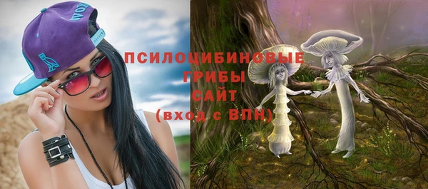 прущие крисы Новодвинск