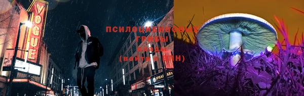 spice Новозыбков
